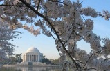 5-Day East Coast: New York, Philadelphia, DC & Niagara Falls from Philadelphia (Budget Tour) (Without Airport Transfer)